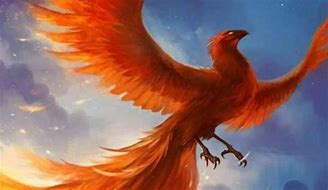 Image result for Ave Fenix Mitologia