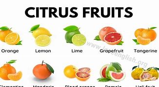Image result for Citrus Fruits List