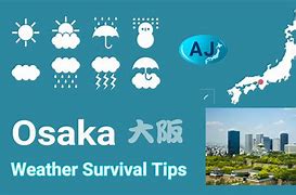 Image result for Osaka Area Map