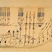 Image result for Ramon Y Cajal Retina Drawing