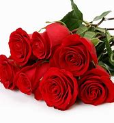 Image result for 7 Roses for Birthday