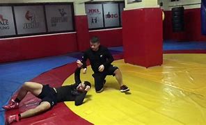 Image result for Wrestling Techniques