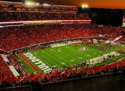 Image result for UGA Sanford Stadium