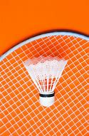 Image result for Badminton Shuttlecock