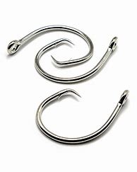 Image result for Fish Eye Hook