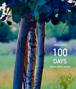 Image result for Spanish in 100 Days Book Cover Girl