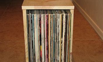 Image result for Vinyl Record Storage Case