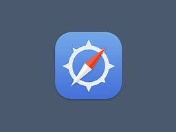 Image result for Cute Safari Icon