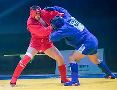 Image result for Combat Sambo