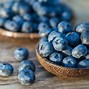 Image result for 5 Types of Berries