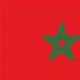 Image result for Morocco Flag