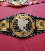 Image result for Custom Wrestling Belts