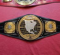 Image result for Custom Made Wrestling Belts