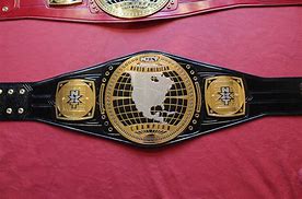 Image result for Custom Made WWE Belts