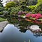 Image result for Amazing Japanese Garden