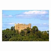Image result for Montfaucon Gardettes Rose