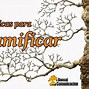 Image result for ramificar