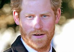 Image result for Prince Harry's Beard