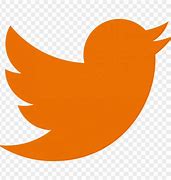 Image result for Orange Twitter Logo