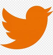 Image result for Twitter Icon Orange