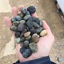 Image result for Pebbles 7 Color