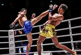 Image result for Muay Thai Pictures