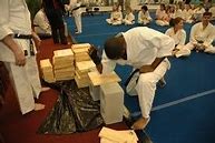 Image result for Karate Breaking Bricks