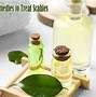 Image result for Scabies Home Remedies
