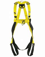 Image result for Safety Harnesses