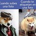 Image result for What Are Some Funny Words in Spanish
