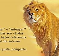 Image result for anteanteayer