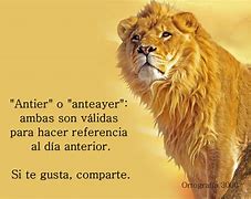 Image result for anteayer