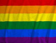 Image result for LGBT Zastava