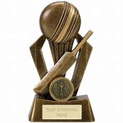 Image result for Best Crystal Cricket Trophy