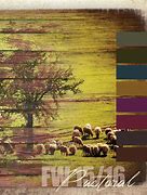 Image result for Grainy Colours Pastoral
