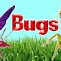 Image result for Garden Bugs Pictures for Children