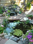 Image result for Simple Pond