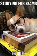 Image result for Funny Memes About Studying