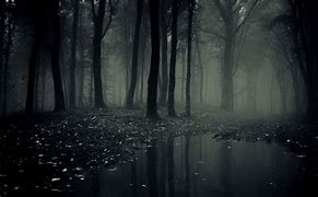 Image result for Creepy Woods at Night