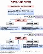 Image result for Veterinary CPR Chart