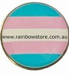 Image result for Transgender Support Pin