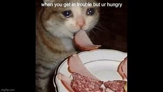 Image result for Crying Cat Meme Food