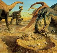 Image result for Young Earth and Dinosaurs