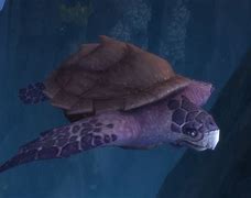 Image result for World of Warcraft Turtle
