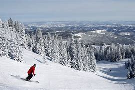 Image result for Italian Ski Namjesaj Sarajevo