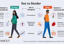 Image result for Gender Differences Physical