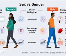 Image result for Students Experience with Gender Differences Physical