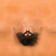 Image result for Seth Rollins Wr3d Texture Face