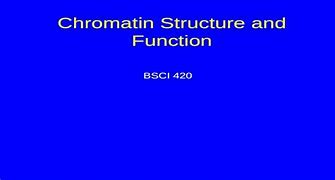 Image result for 4C and 5C Chromatin