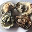 Image result for Restaurant That Serves Oyster On Half Shell Near Me